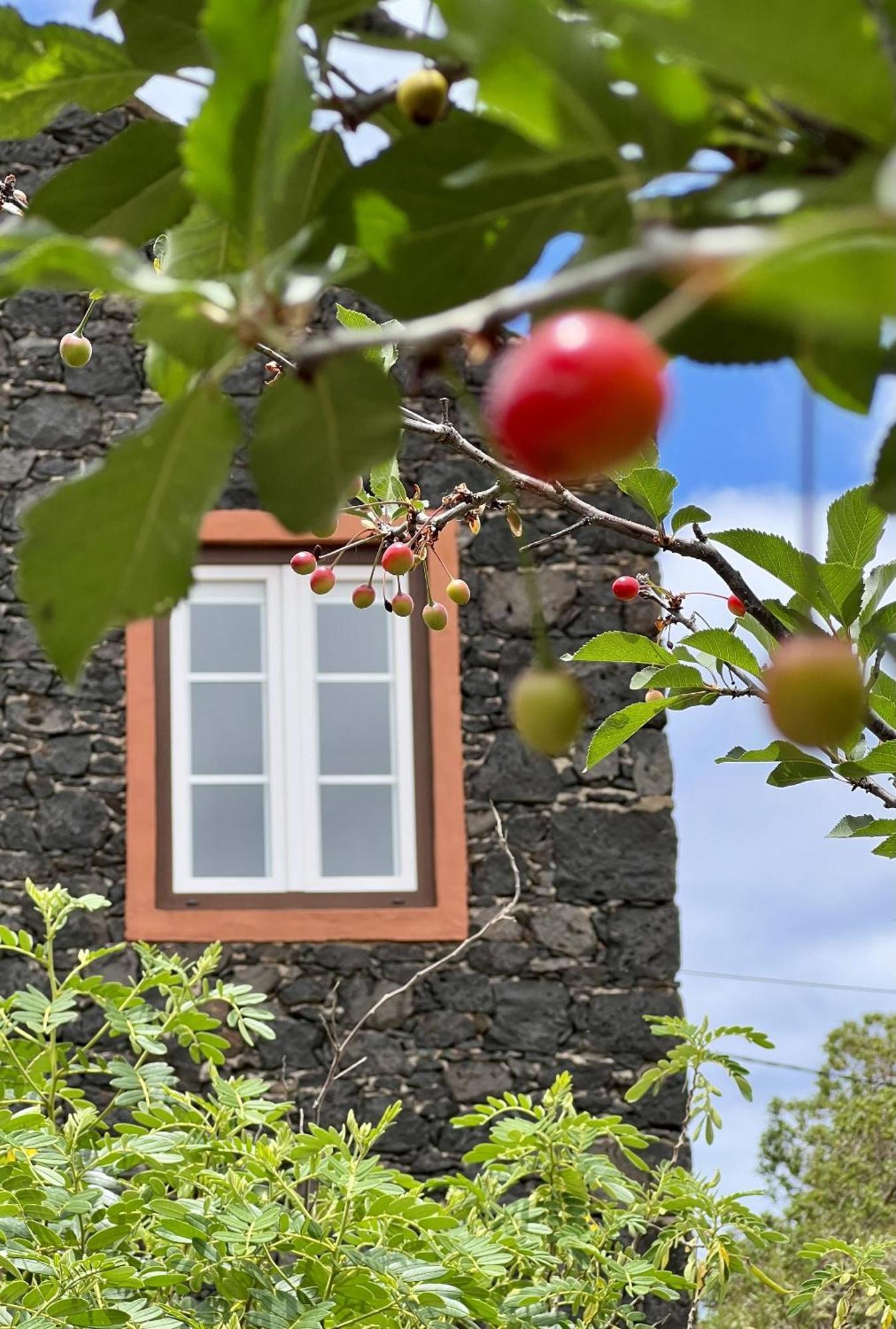 Cozy Rural House Las Guindas, El Hierro Erese Екстериор снимка