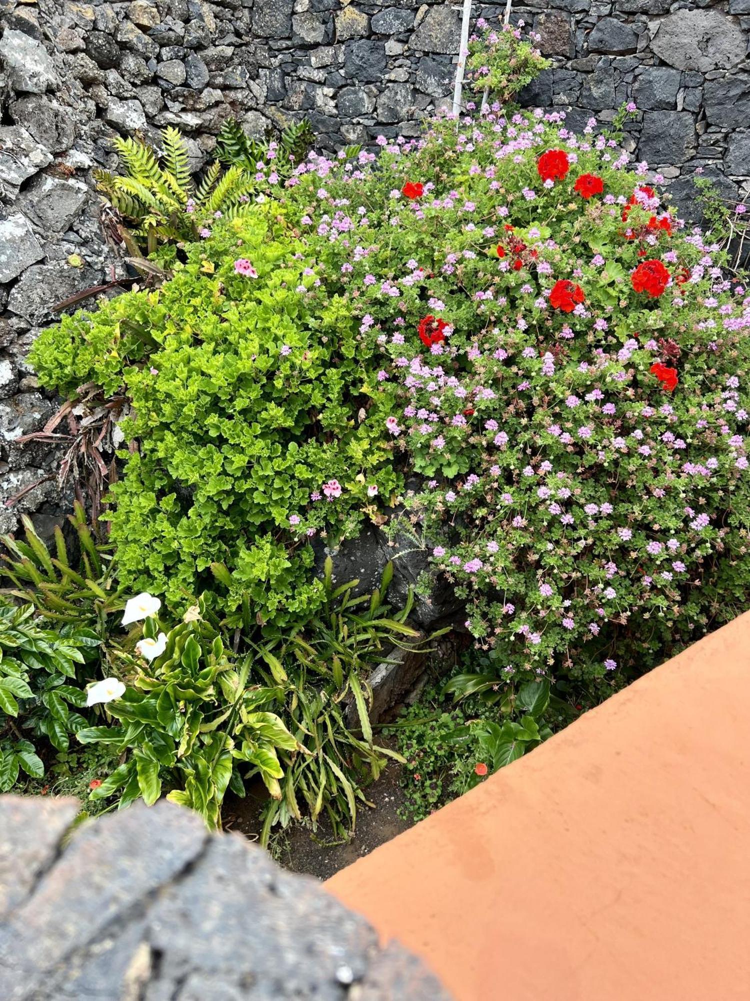 Cozy Rural House Las Guindas, El Hierro Erese Екстериор снимка