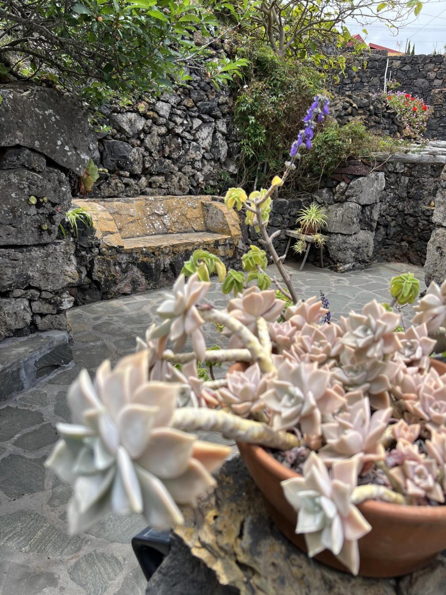 Cozy Rural House Las Guindas, El Hierro Erese Екстериор снимка